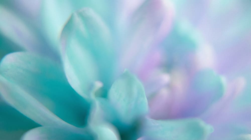 20 online community examples that show there’s a niche for everything